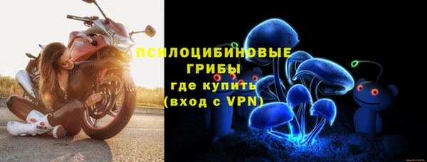 прущие крисы Аркадак