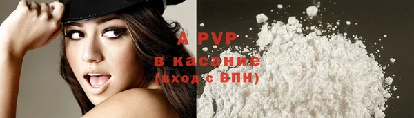 прущие крисы Аркадак