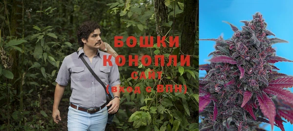 прущие крисы Аркадак