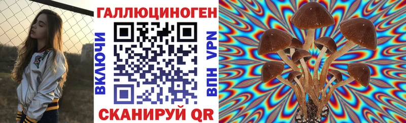 Псилоцибиновые грибы ЛСД  наркота  Почеп 